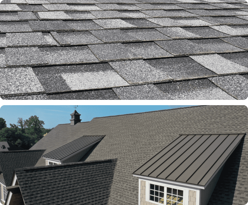 Shingle roof